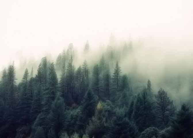 秋思手机号轰炸平台