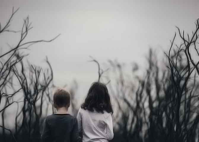 网页免费发手机号